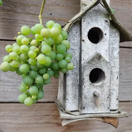 L'attrape Coeurs Πανσιόν 4*