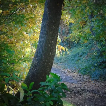 L'attrape Coeurs Πανσιόν