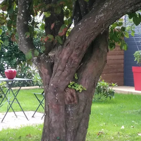 L'attrape Coeurs Πανσιόν 4*