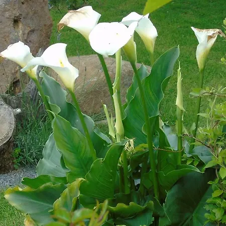 L'attrape Coeurs Πανσιόν Mantilly