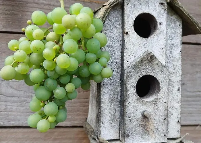 L'attrape Coeurs Guest house 4*