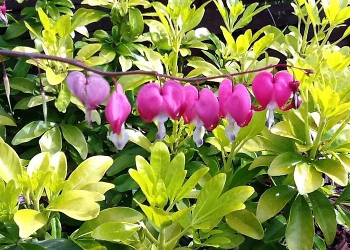 L'attrape Coeurs Πανσιόν Mantilly