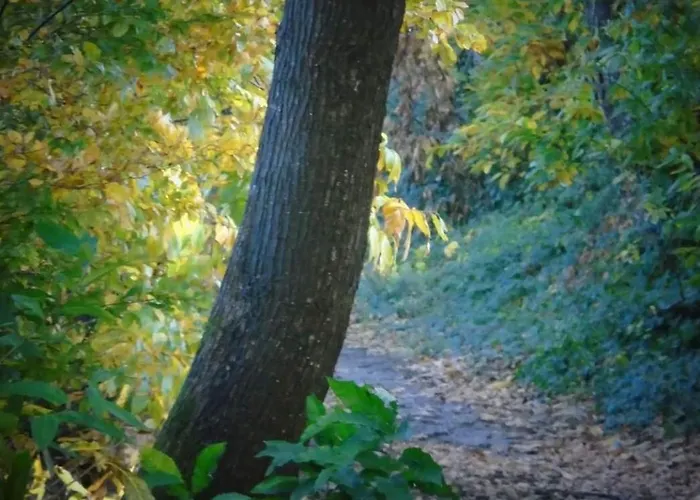 L'attrape Coeurs Πανσιόν