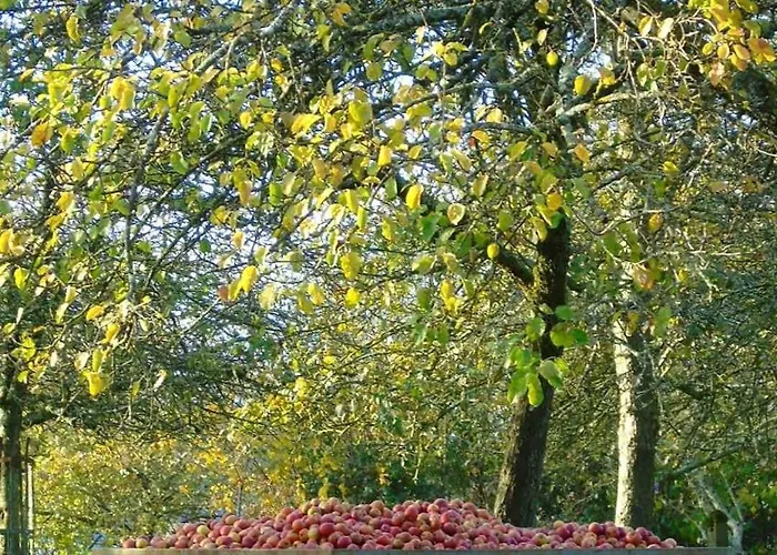 Πανσιόν L'attrape Coeurs