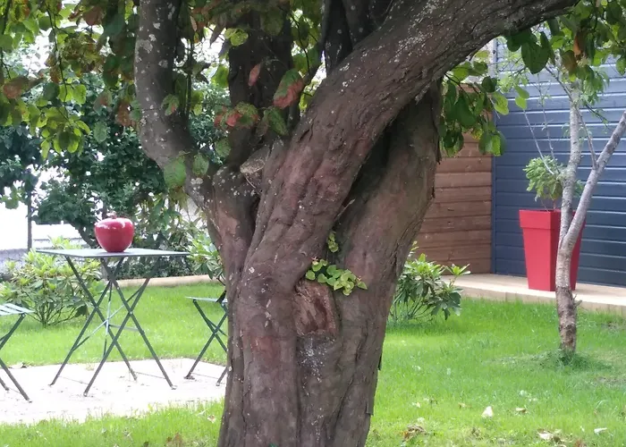 L'attrape Coeurs Πανσιόν 4*