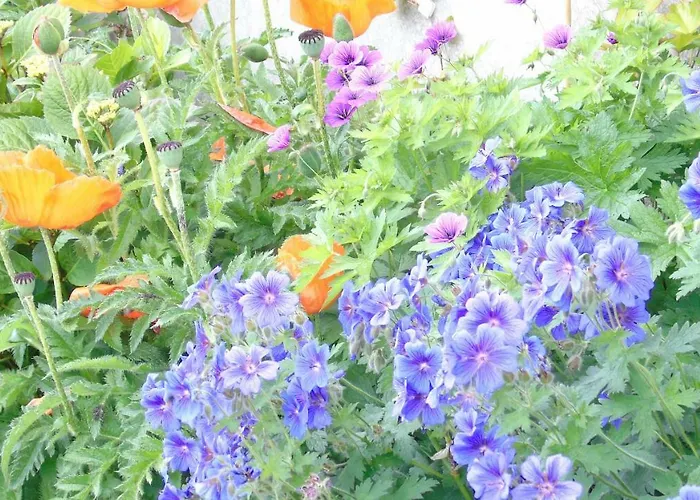 L'attrape Coeurs Πανσιόν 4*