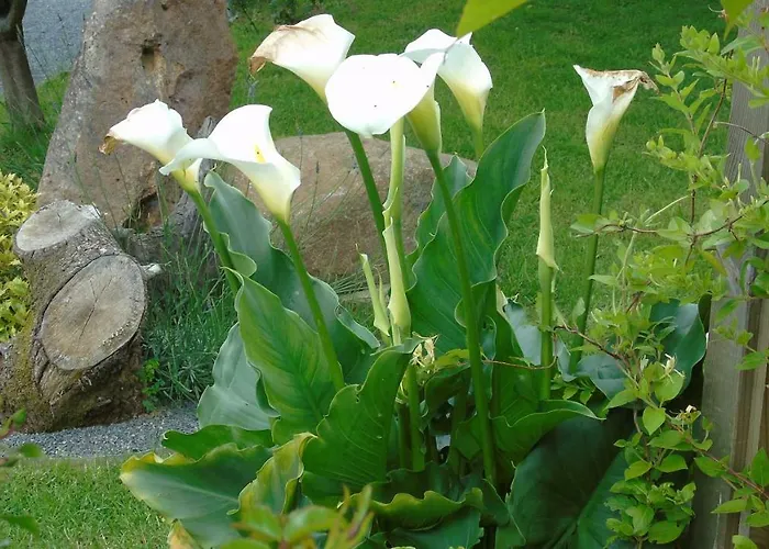 L'attrape Coeurs Πανσιόν Mantilly