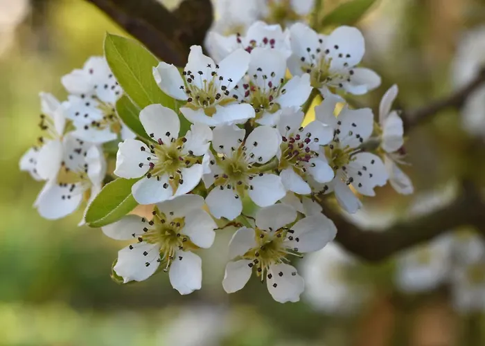 L'attrape Coeurs 4* Mantilly